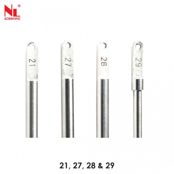 nl2031x001-04