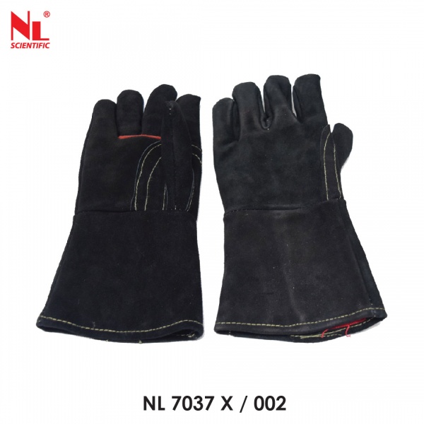nl7037x-02