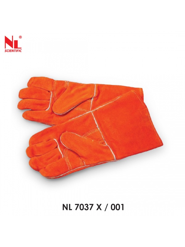 nl7037x-01